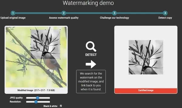 Jak zrobić znak wodny na zdjęciu i chronić swoje prace przed kradzieżą