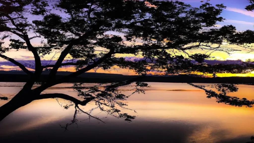 Jak zrobić zdjęcie zachodu słońca telefonem - proste triki i porady